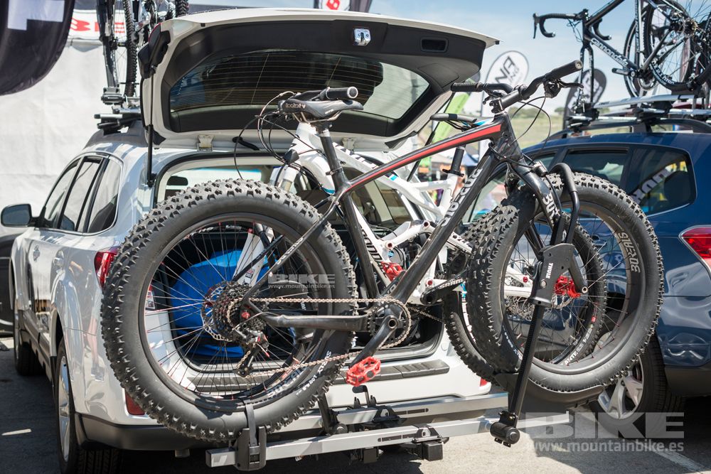 Sea Otter 2014