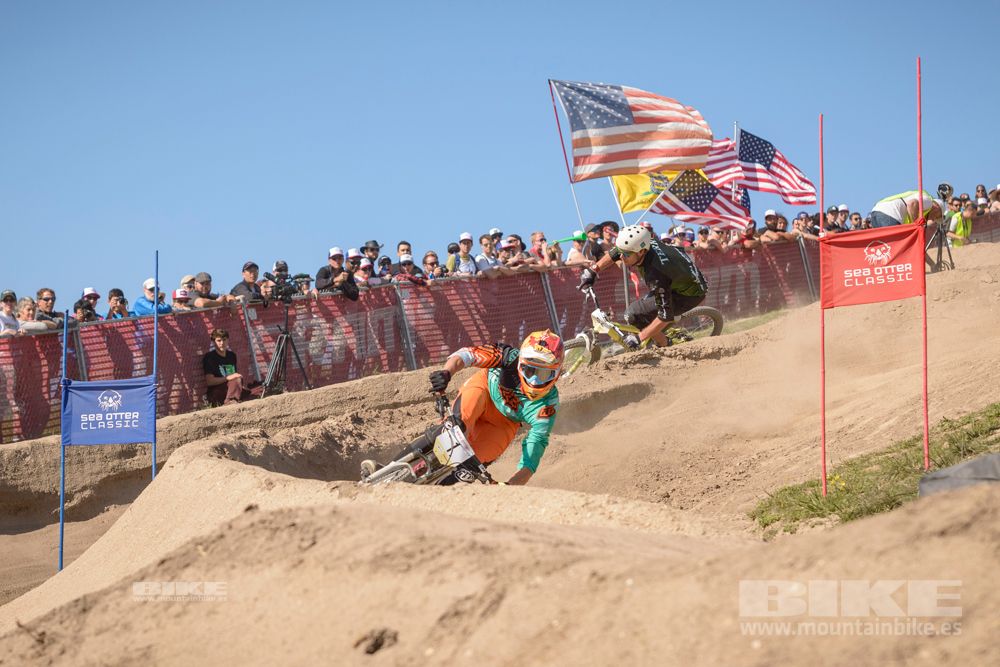 Sea Otter 2014