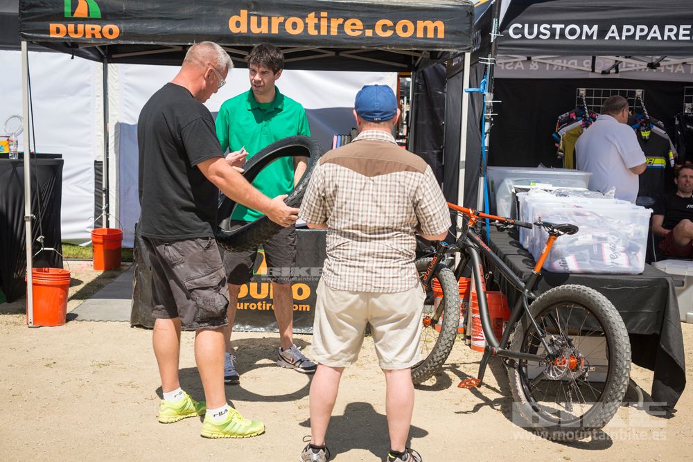 Sea Otter 2014