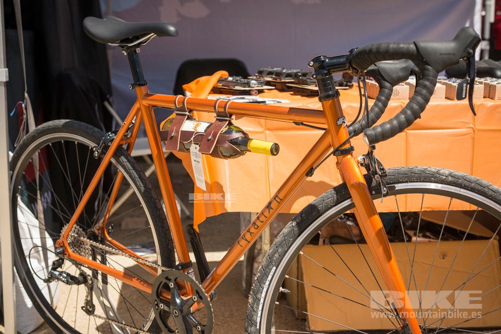 Sea Otter 2014