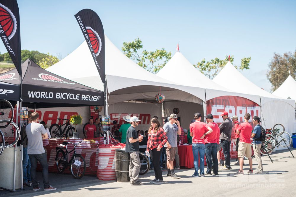 Sea Otter 2014