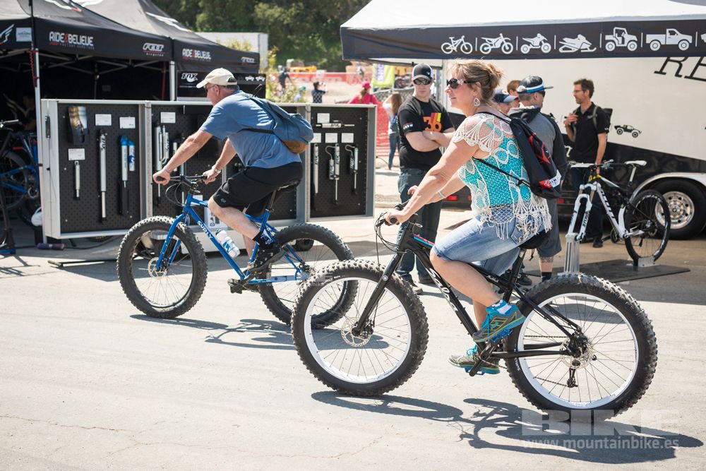 Sea Otter 2014