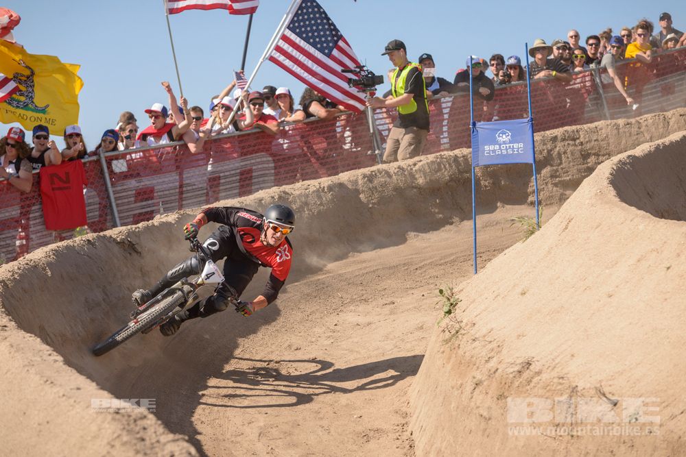 Sea Otter 2014