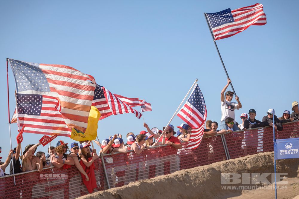 Sea Otter 2014
