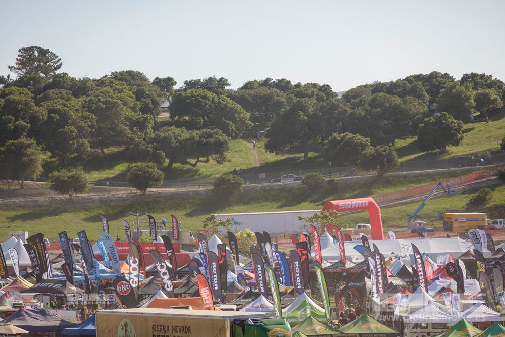 Sea Otter 2014
