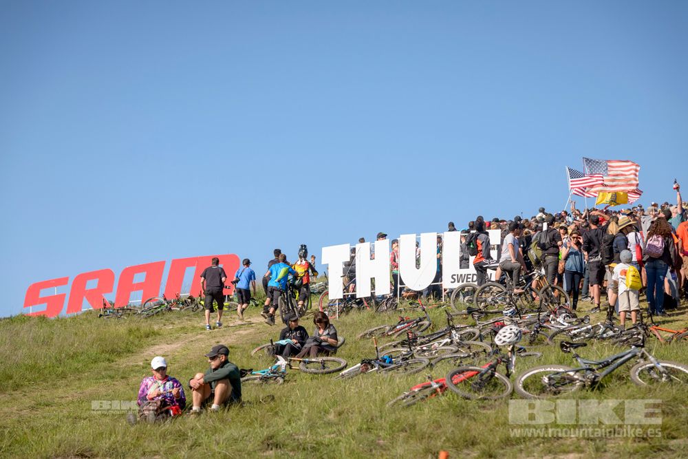 Sea Otter 2014