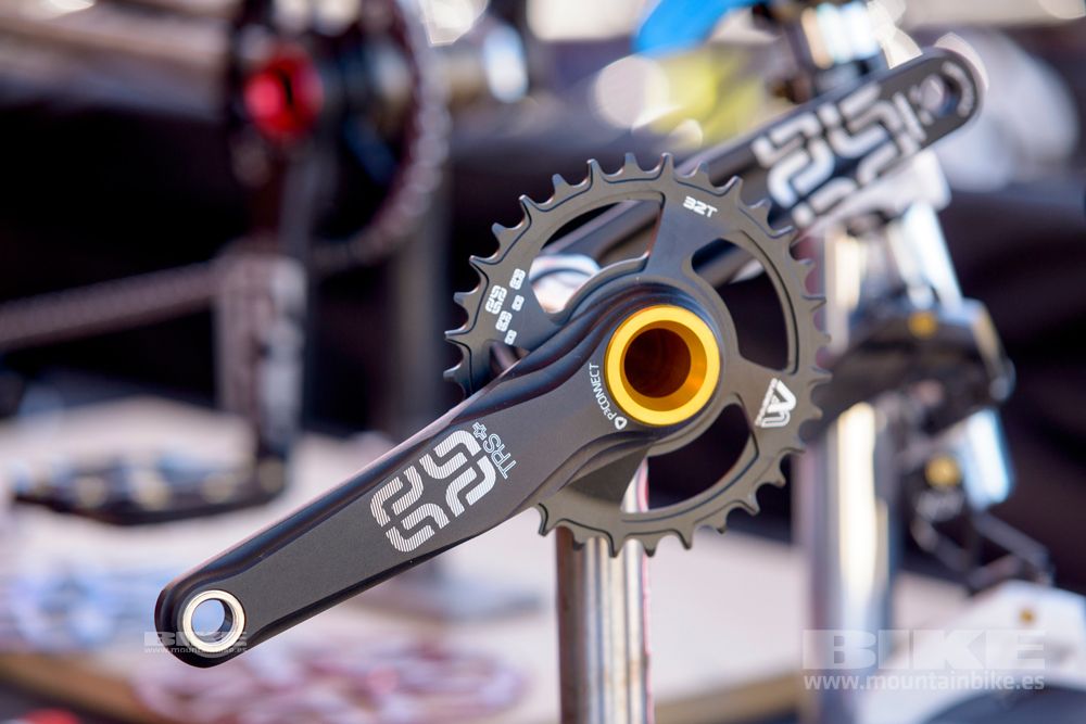 Sea Otter 2014