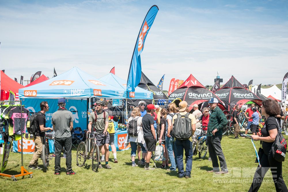 Sea Otter 2014