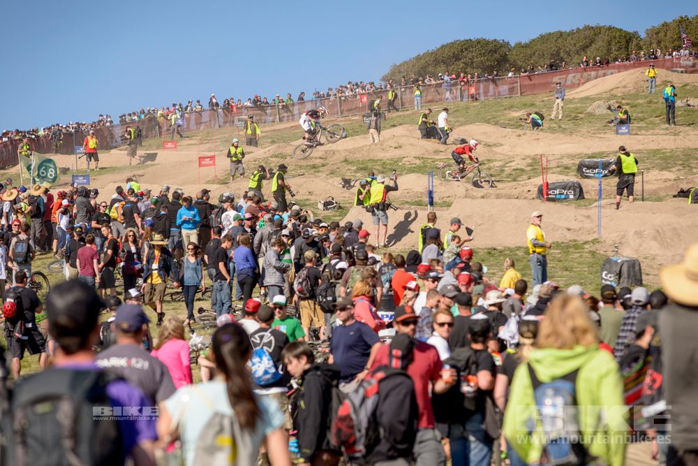 Sea Otter 2014