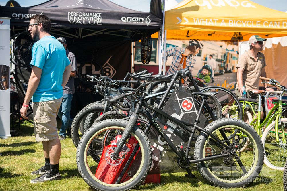Sea Otter 2014