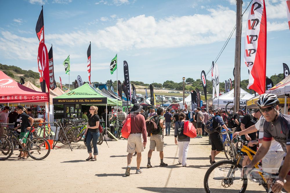 Sea Otter 2014