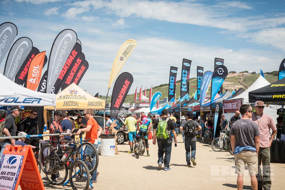 Sea Otter 2014
