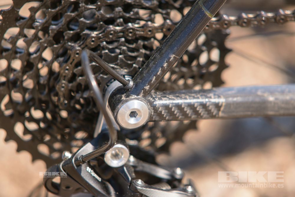 Sea Otter 2014