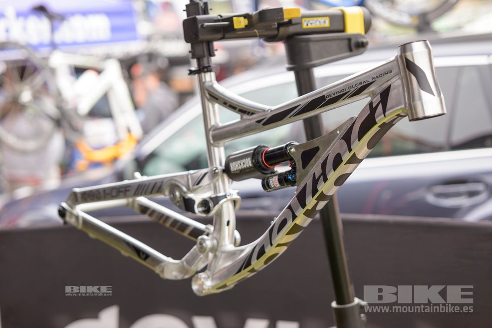 Sea Otter 2014