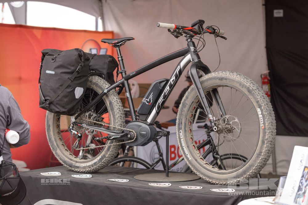 Sea Otter 2014