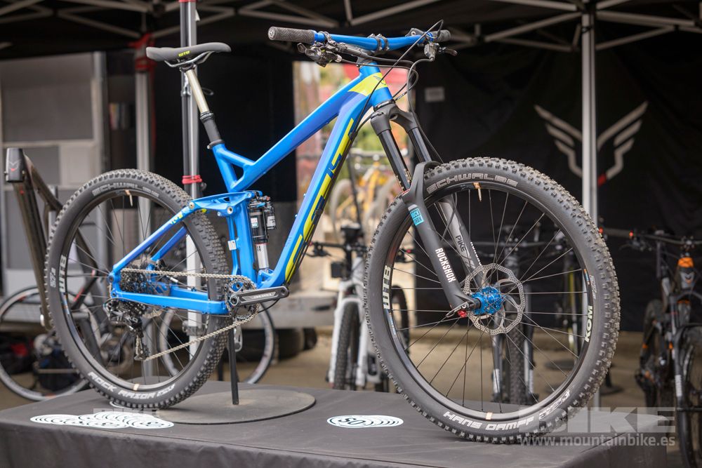 Sea Otter 2014