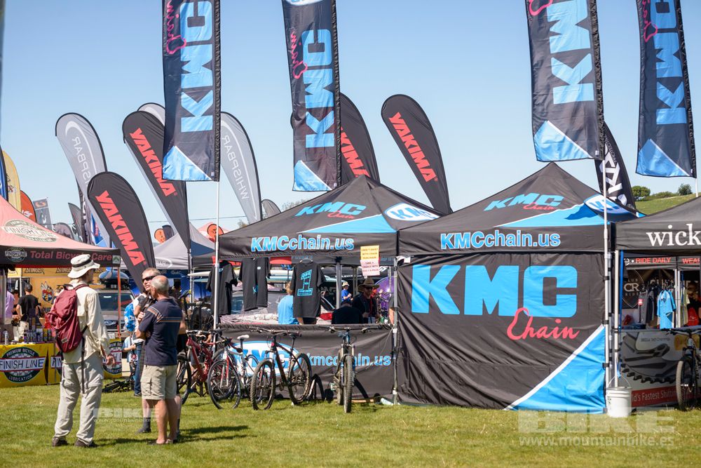 Sea Otter 2014