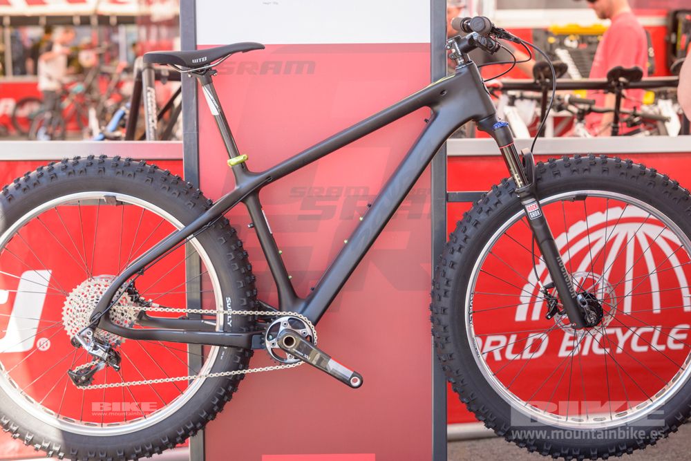 Sea Otter 2014