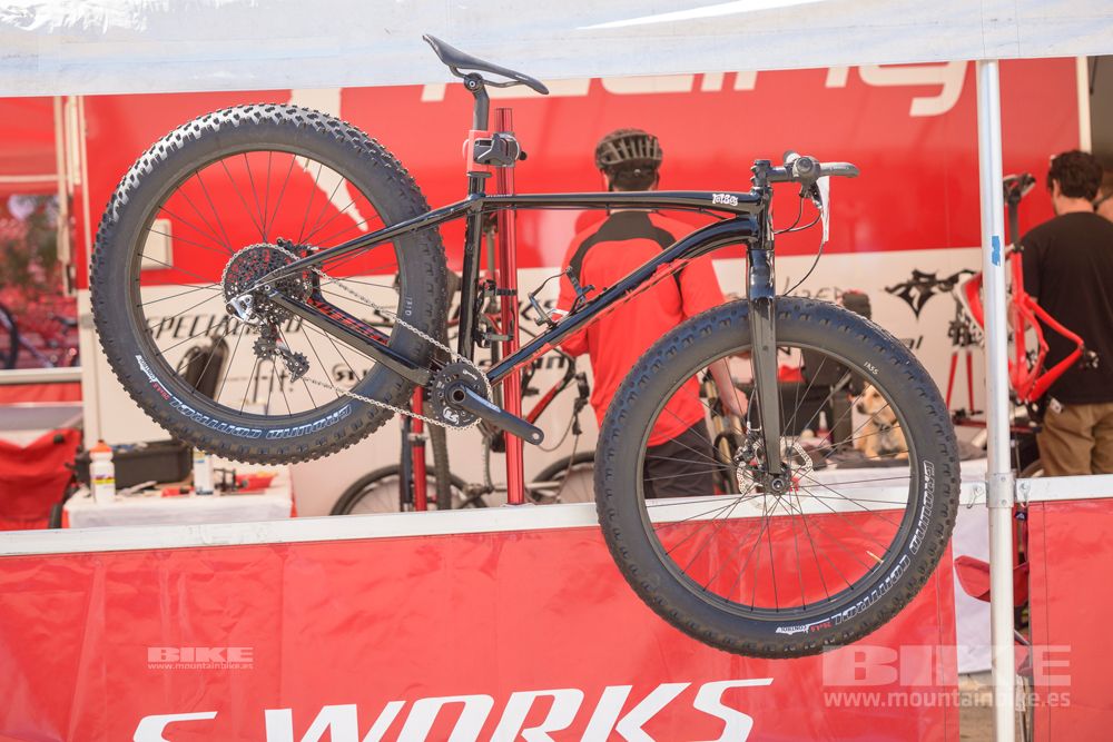 Sea Otter 2014
