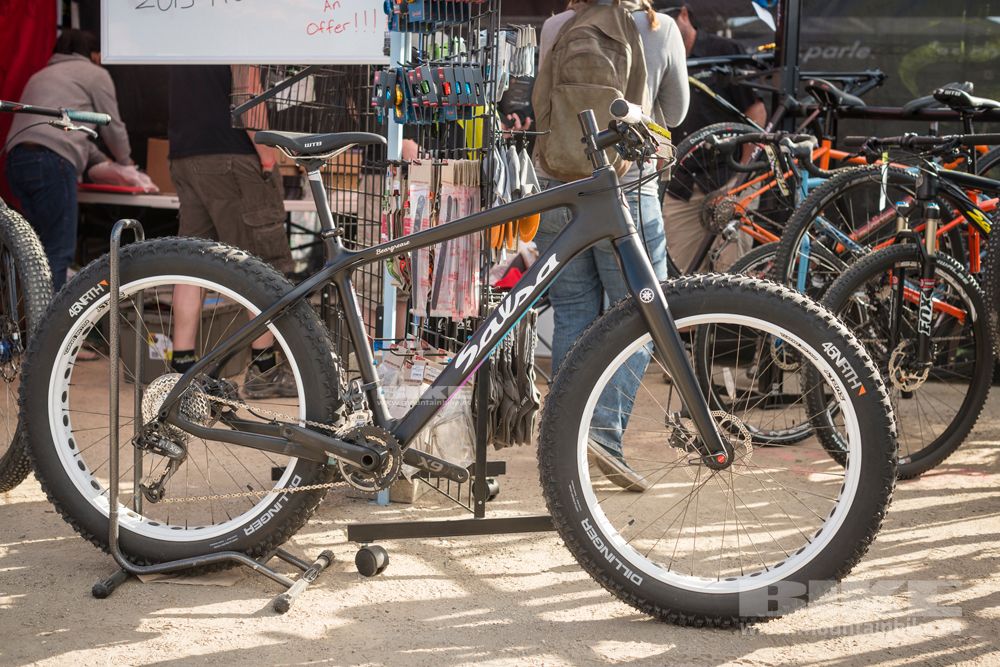 Sea Otter 2014