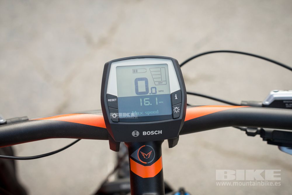Sea Otter 2014
