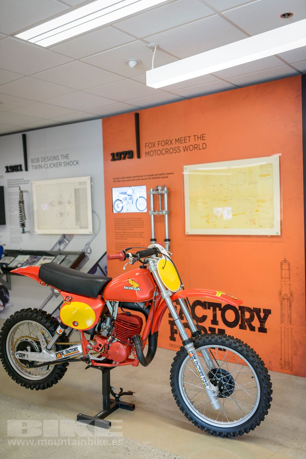 Museo Fox