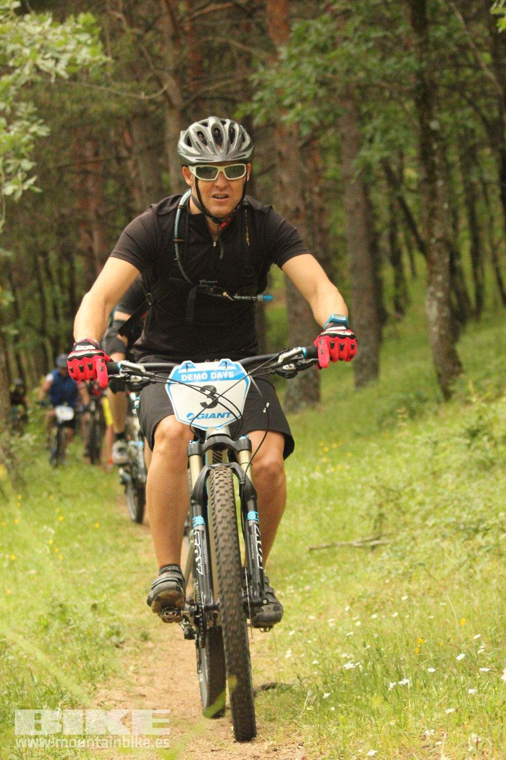 Galeria Demo Domingo Test The Best 2014
