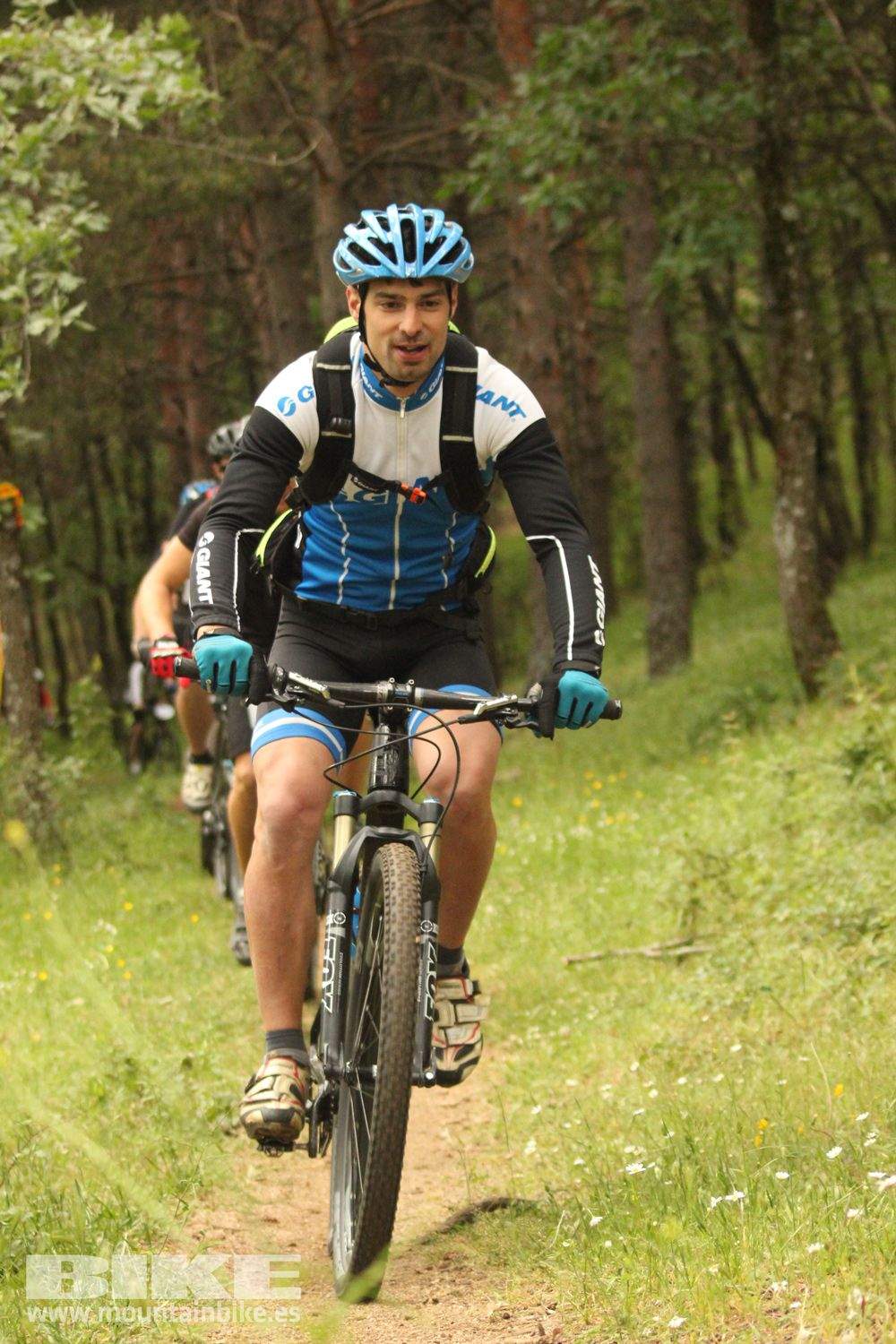 Galeria Demo Domingo Test The Best 2014