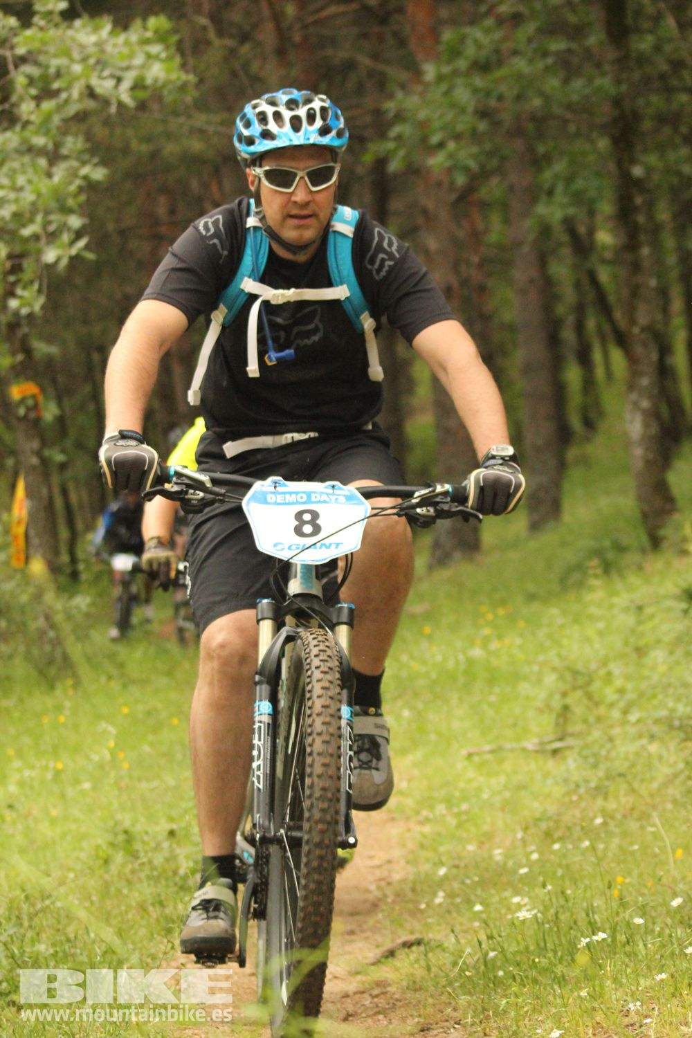 Galeria Demo Domingo Test The Best 2014