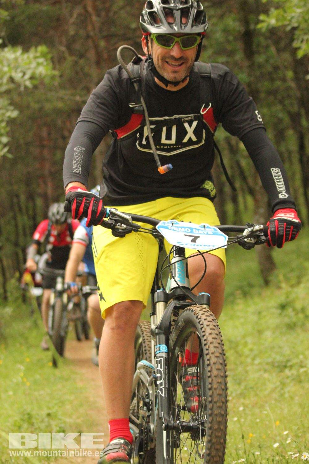 Galeria Demo Domingo Test The Best 2014
