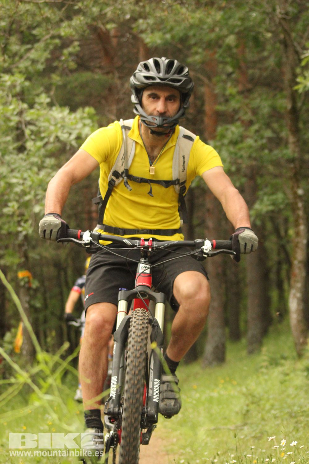Galeria Demo Domingo Test The Best 2014