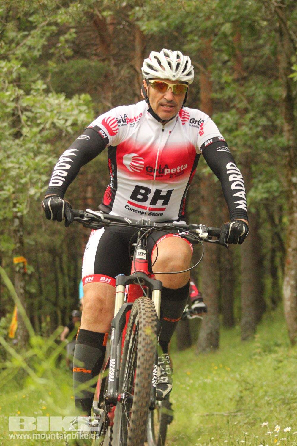 Galeria Demo Domingo Test The Best 2014