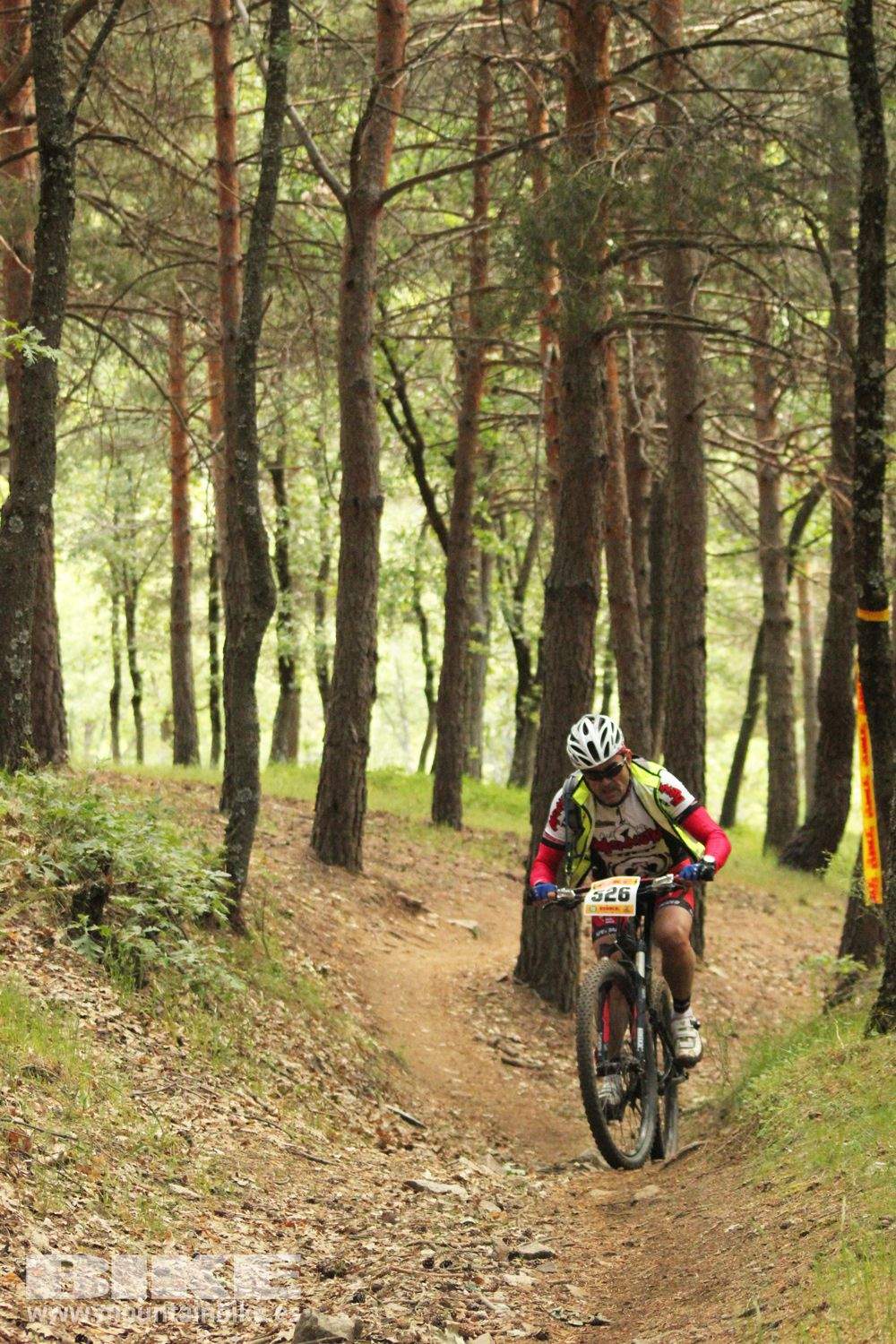 Galería Maratón Test The Best 2014-1