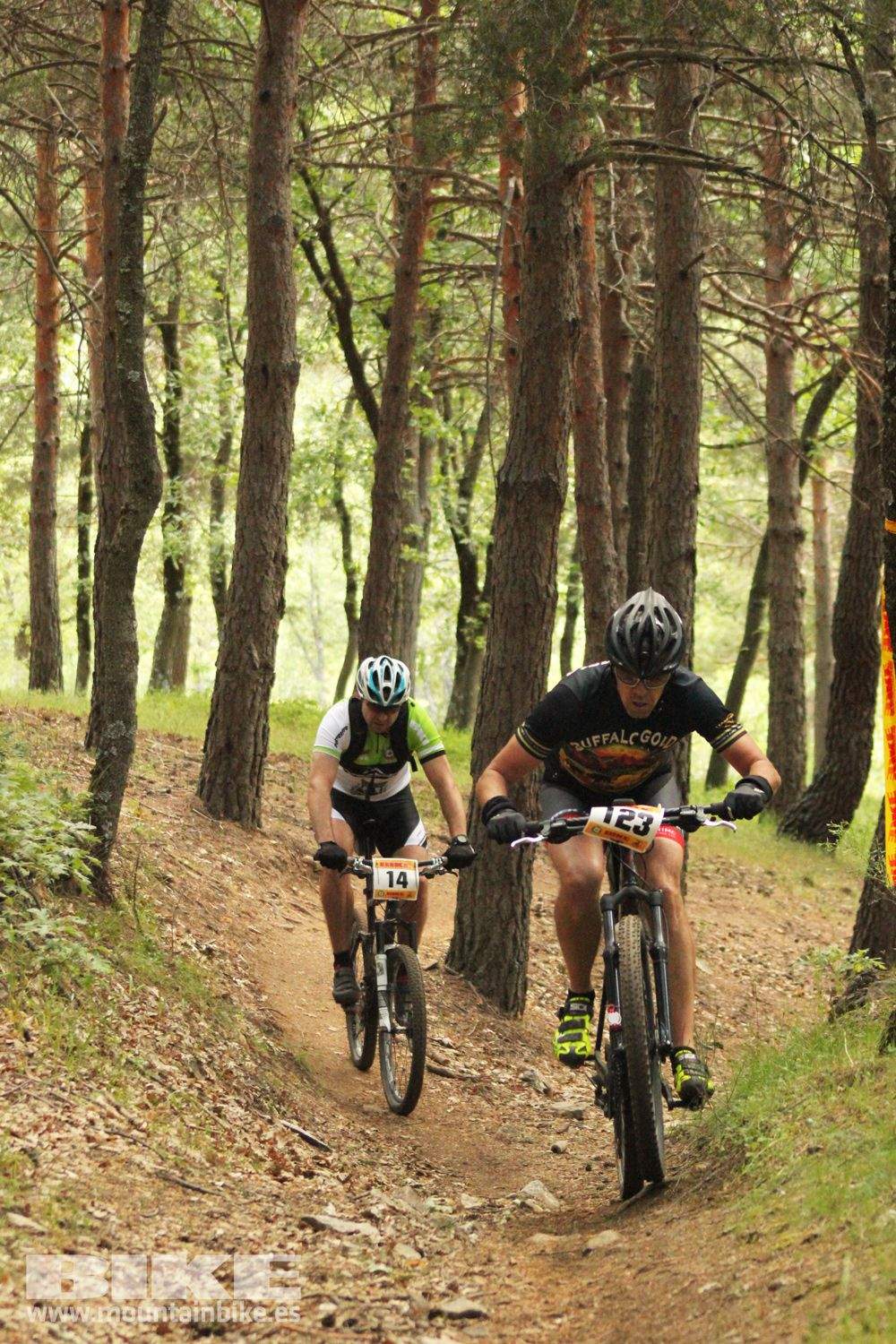 Galería Maratón Test The Best 2014-1