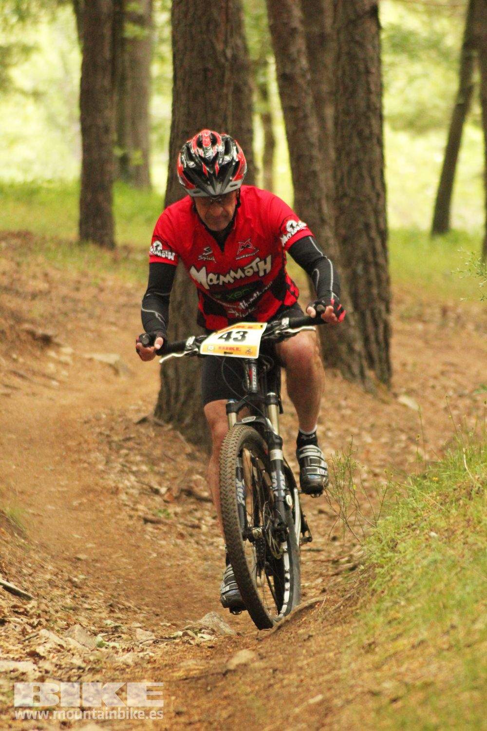 Galería Maratón Test The Best 2014-2