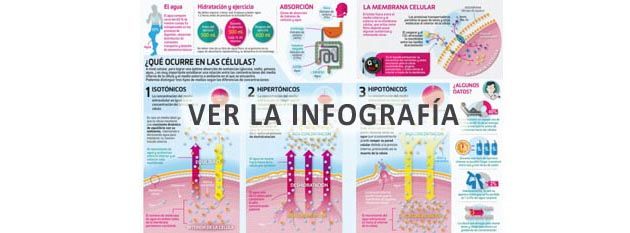 prueba@prueba2.com