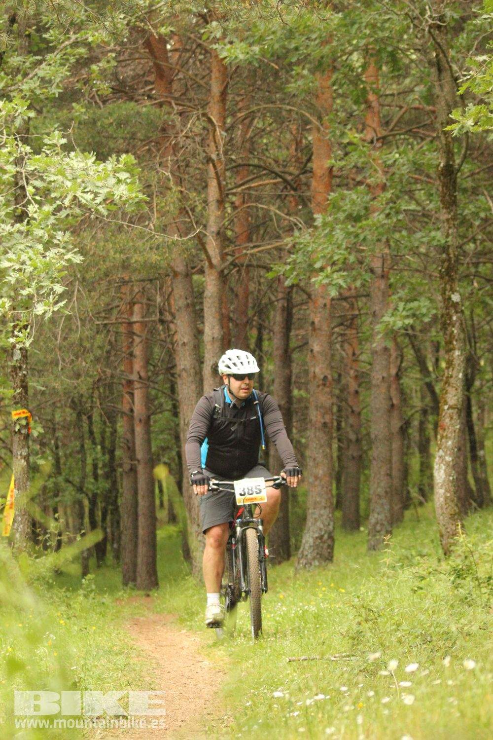 Galería Maratón Test The Best 2014-5
