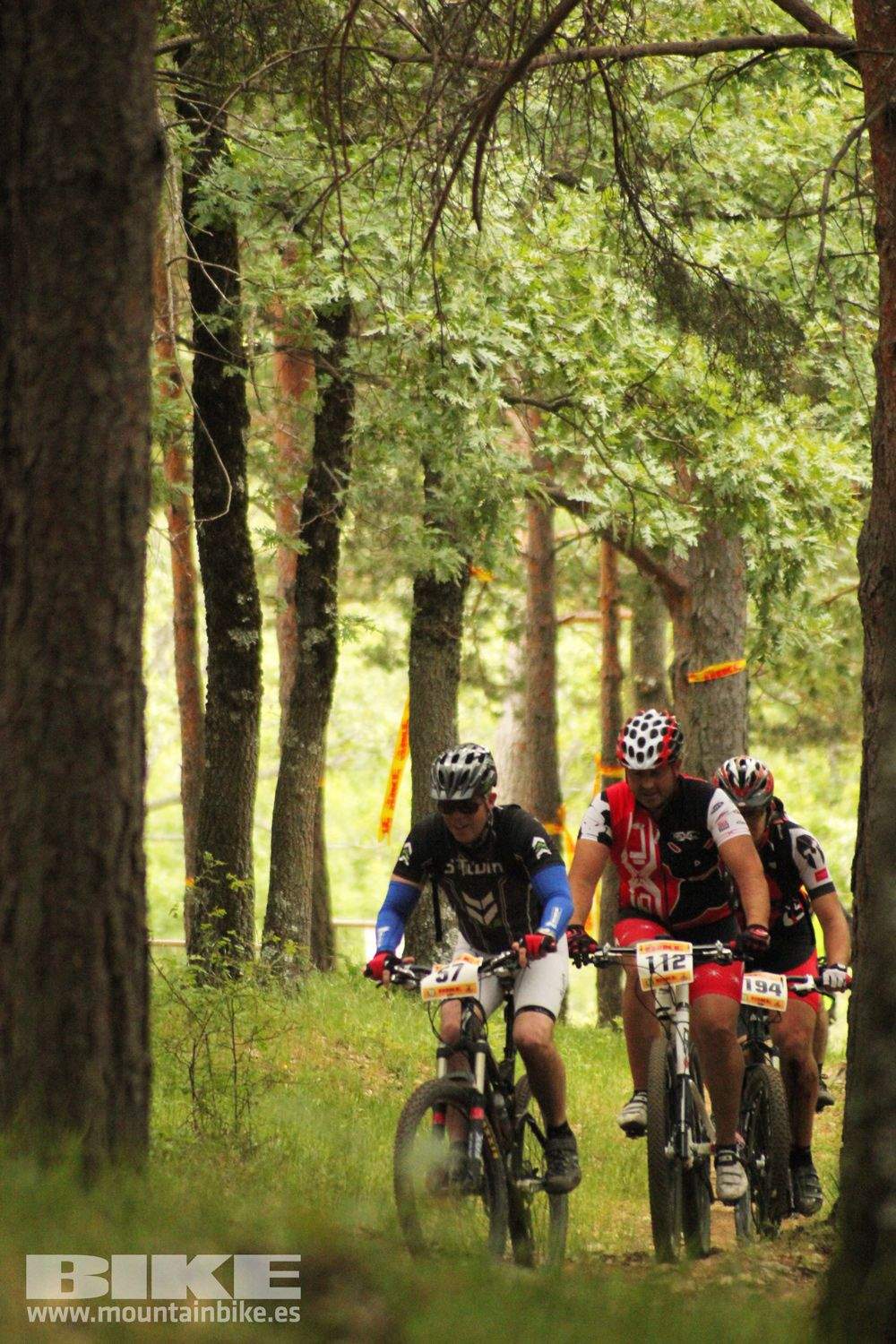 Galería Maratón Test The Best 2014-3