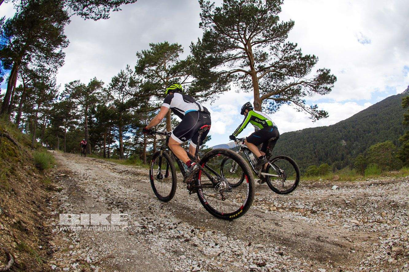 Maratón Test The Best 2014-7