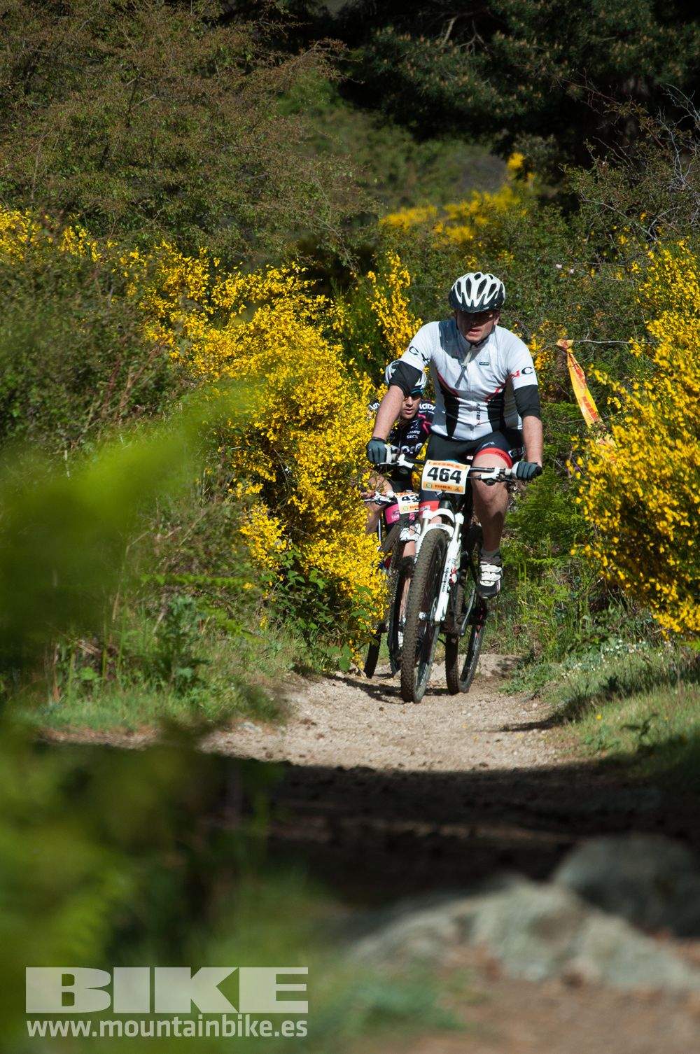 Maratón Test The Best 2014-8
