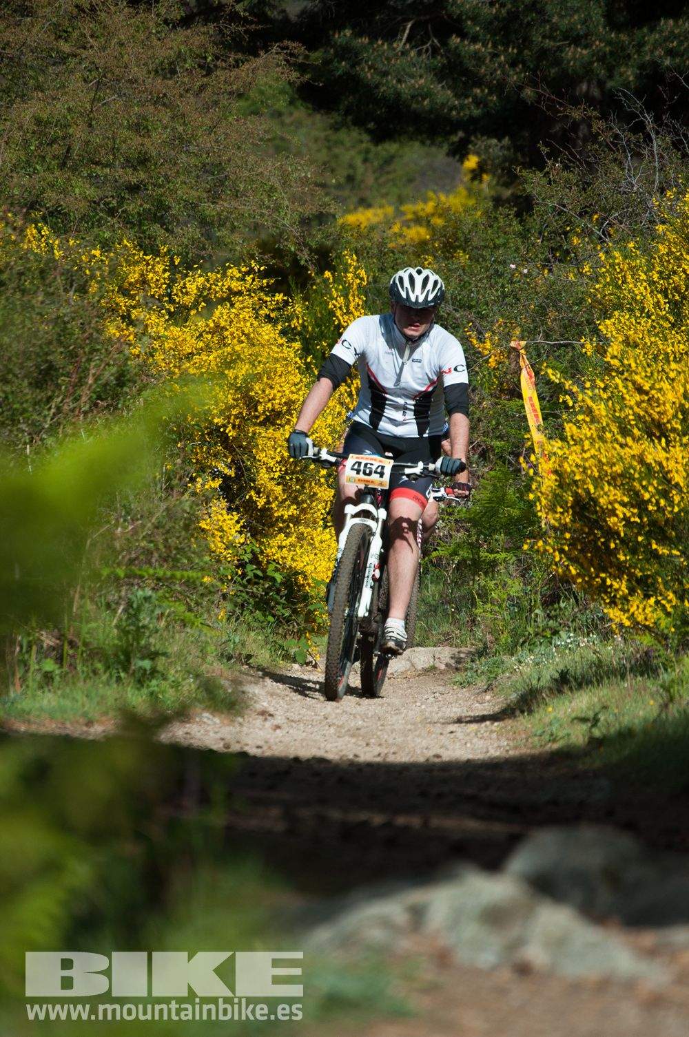 Maratón Test The Best 2014-8