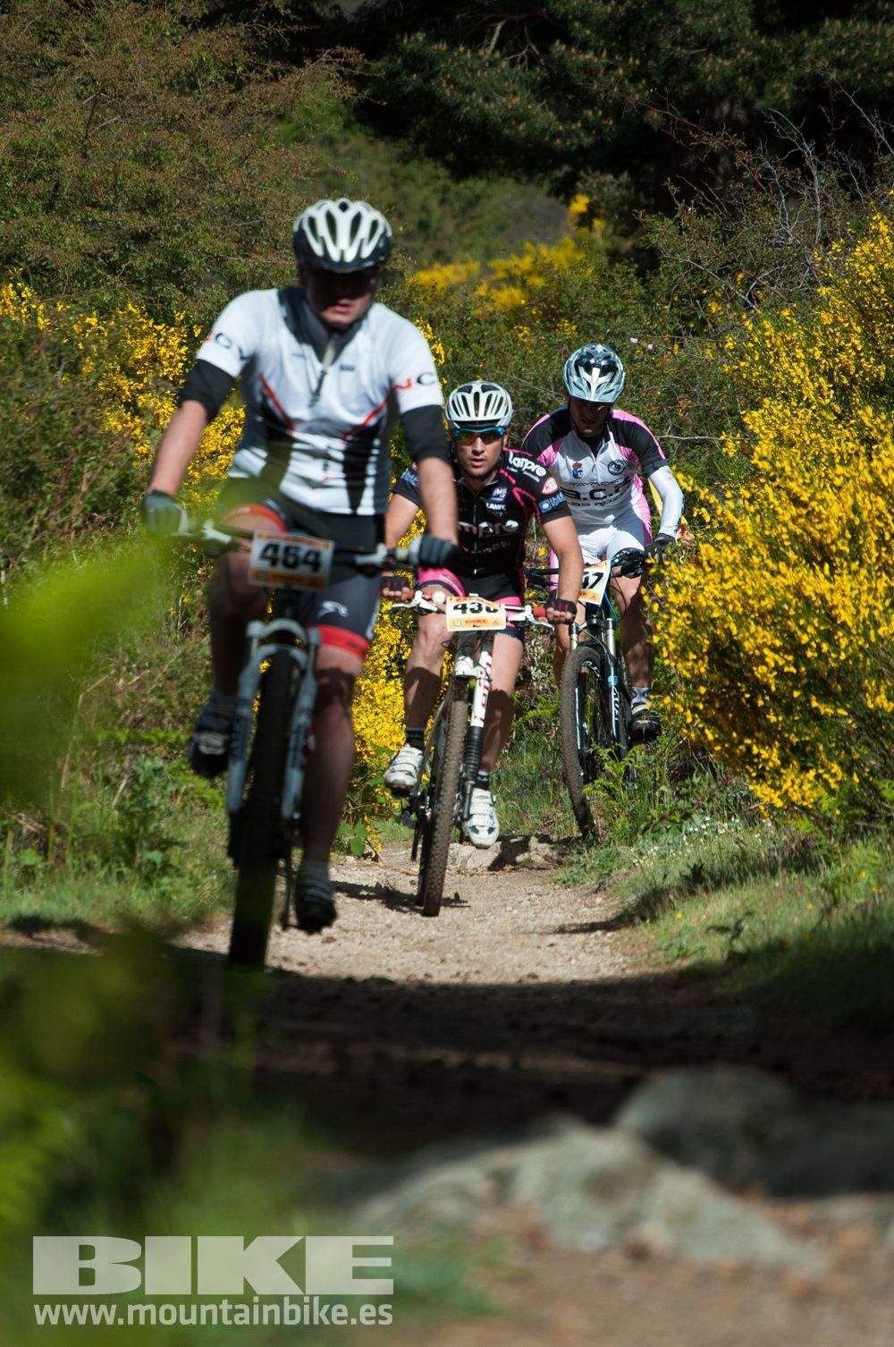 Maratón Test The Best 2014-8