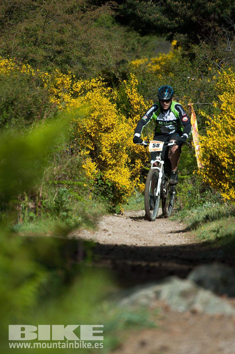 Maratón Test The Best 2014-8