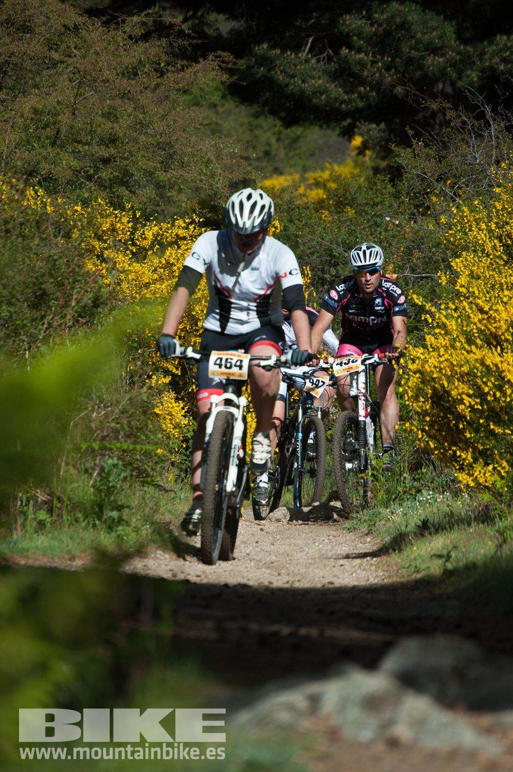 Maratón Test The Best 2014-8
