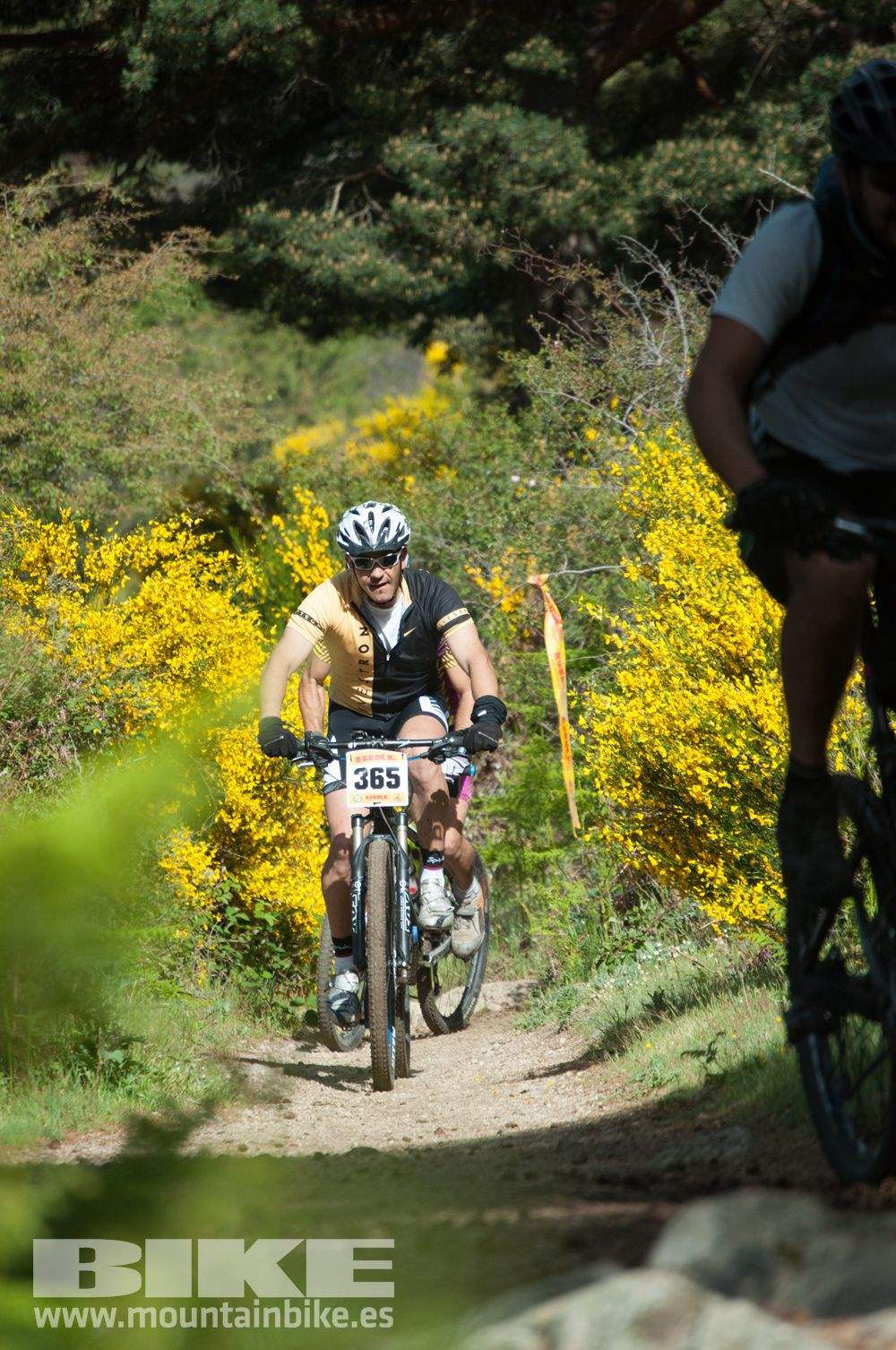 Maratón Test The Best 2014-8