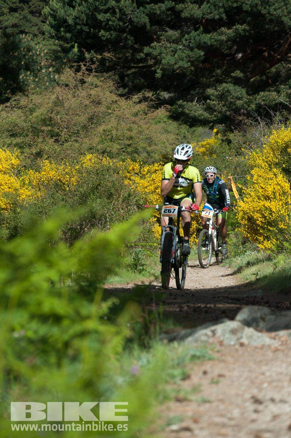 Maratón Test The Best 2014-8