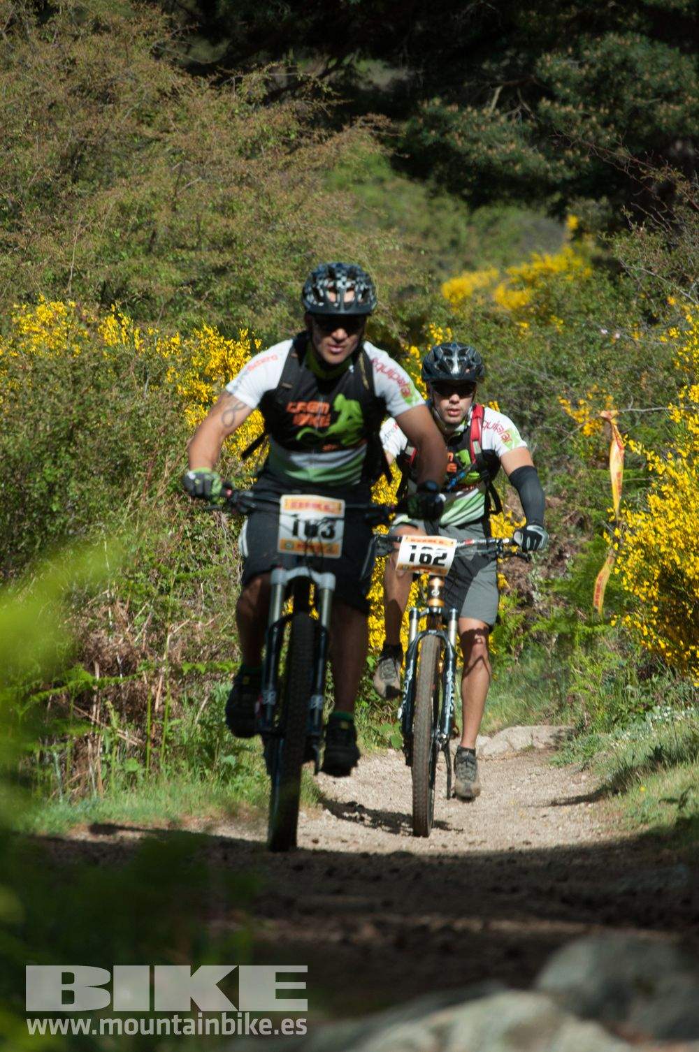 Maratón Test The Best 2014-8