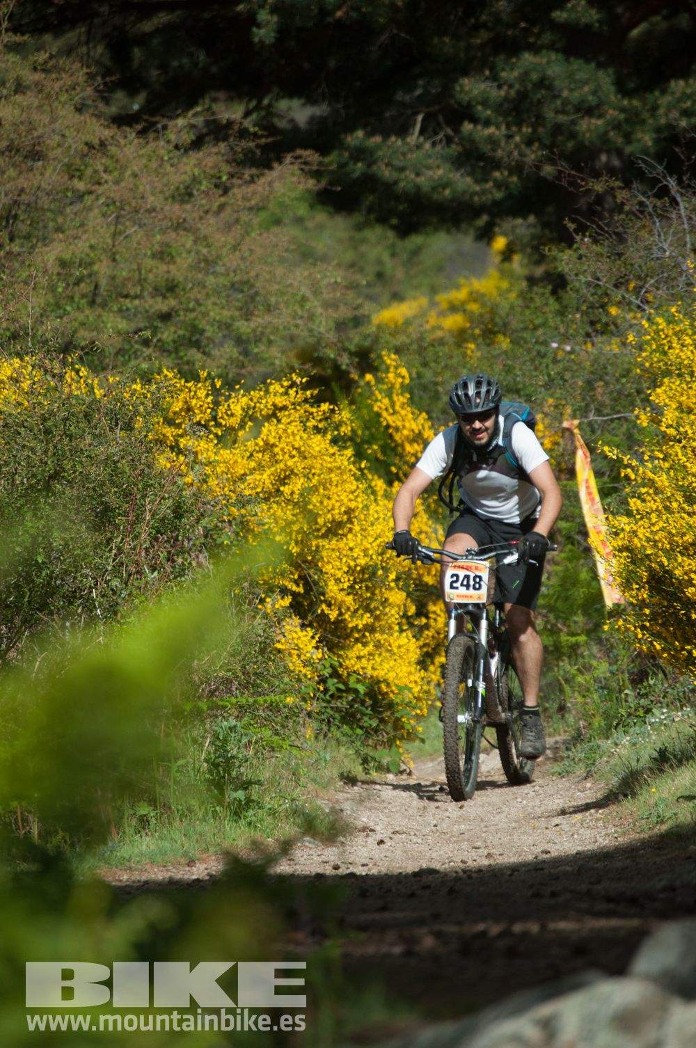 Maratón Test The Best 2014-8