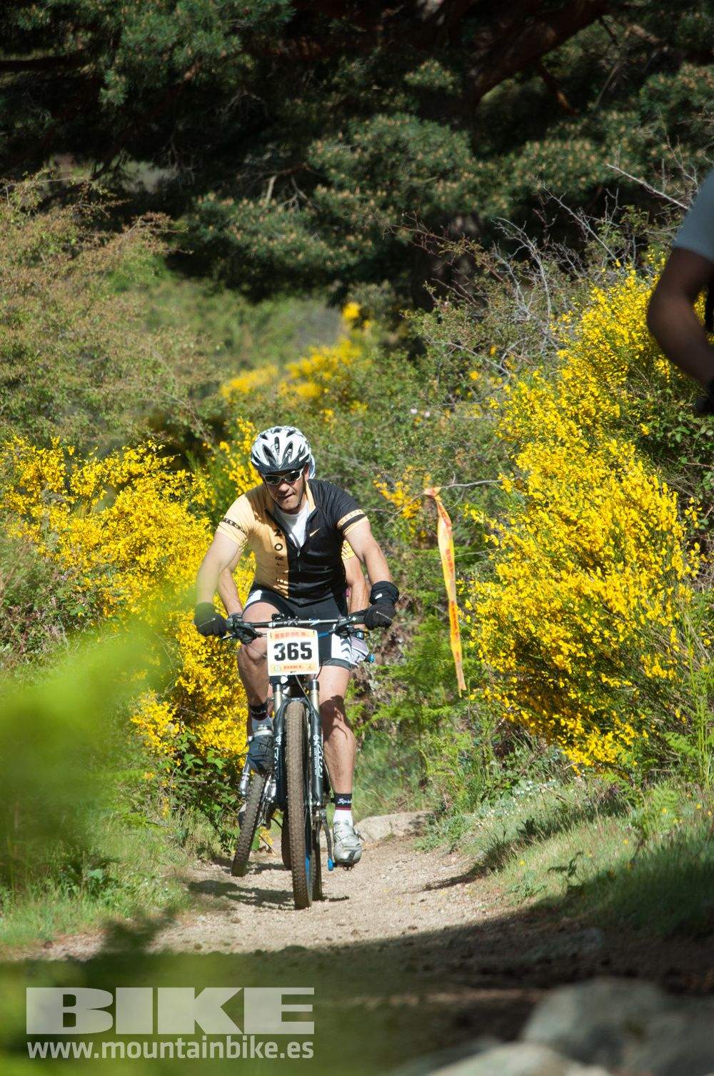 Maratón Test The Best 2014-8