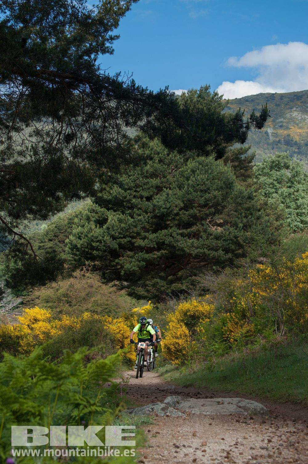 Maratón Test The Best 2014-8